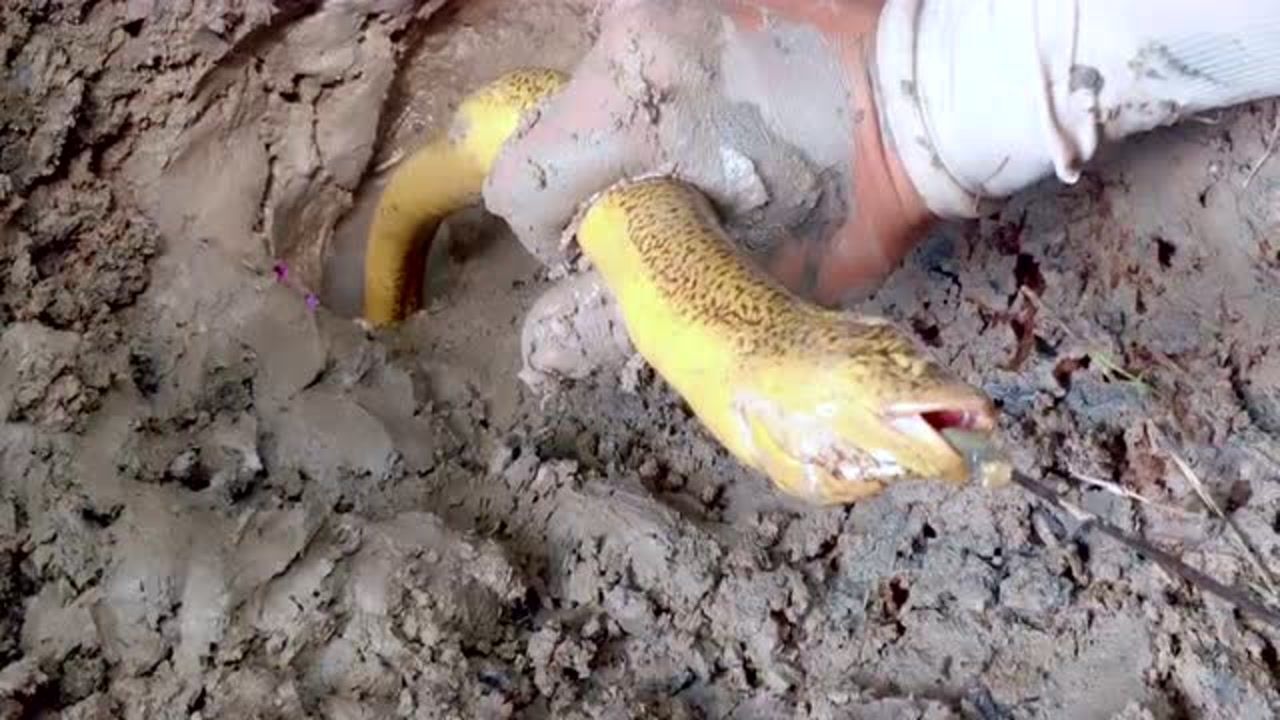 男子找到一个满水大洞钩子挂蚯蚓放到洞口等几分钟结果有动静