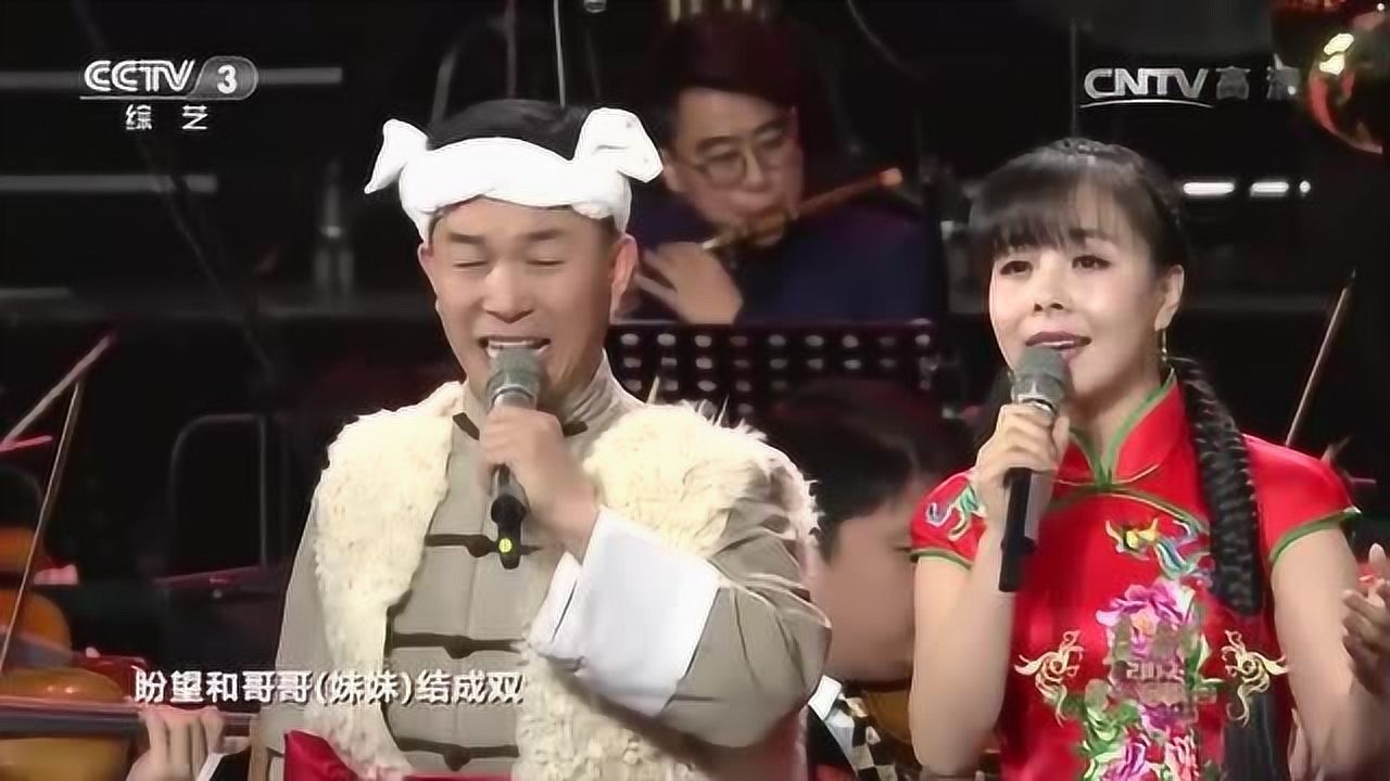 王二妮桃花红杏花白图片