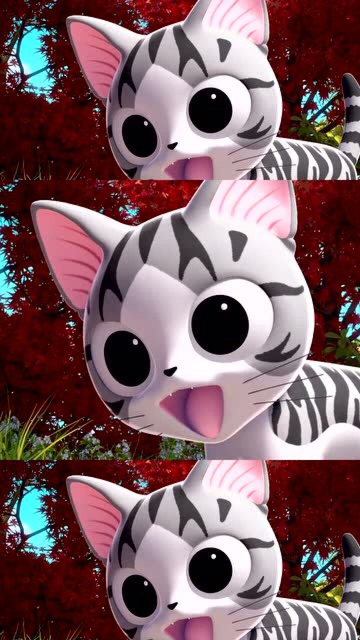 甜甜私房猫小奇看到红色的枫叶很喜欢接下来的东西会更帅