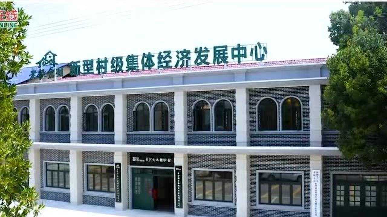 宁乡市老粮仓镇新型村级集体经济发展中心成立大会 2020.8.