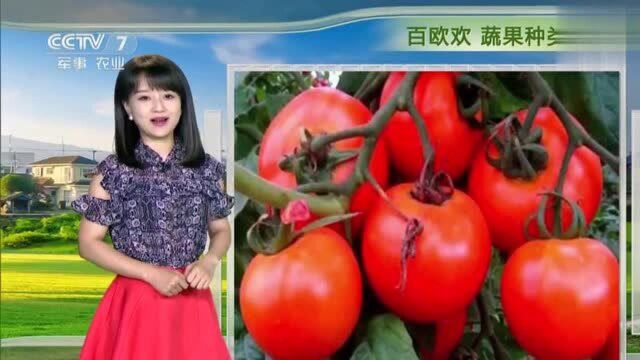 中央气象台:未来五天5月2630号,全国各地天气预报!