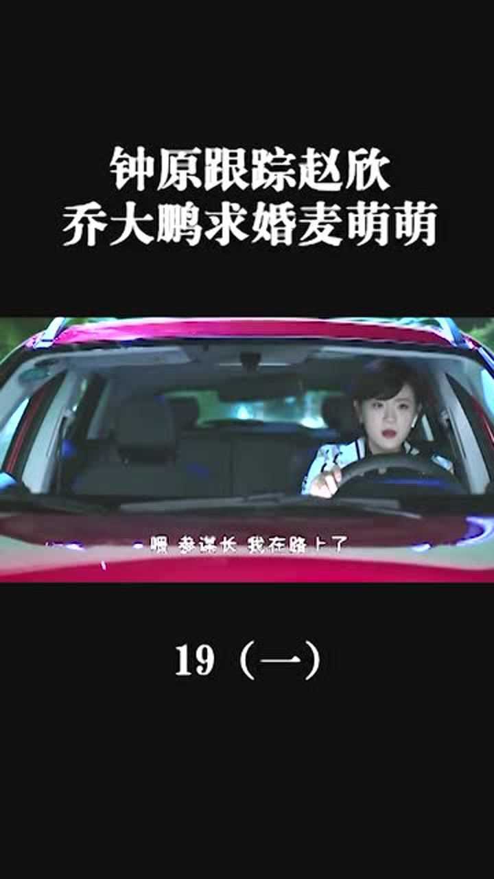 结婚纪念日钟原跟踪赵欣乔大鹏尴尬表白麦萌萌