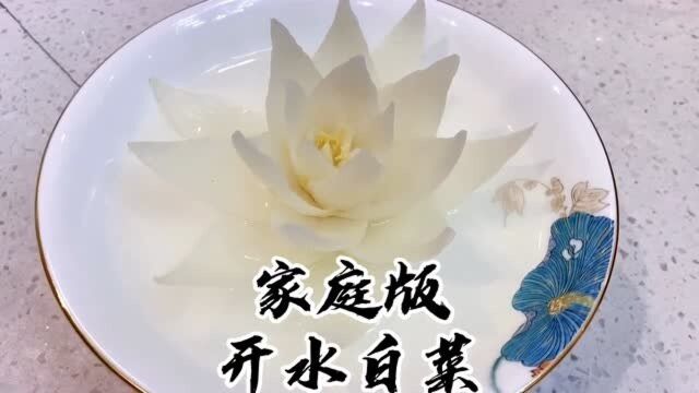 你见过白菜开花的样子吗?