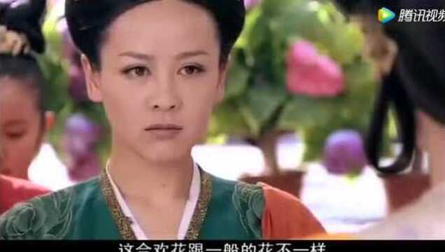 宫女陷害同僚被当场揭穿,武昭仪这招够狠!