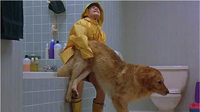 机智小伙家里偷养一只流浪狗,为了照顾它操碎了心