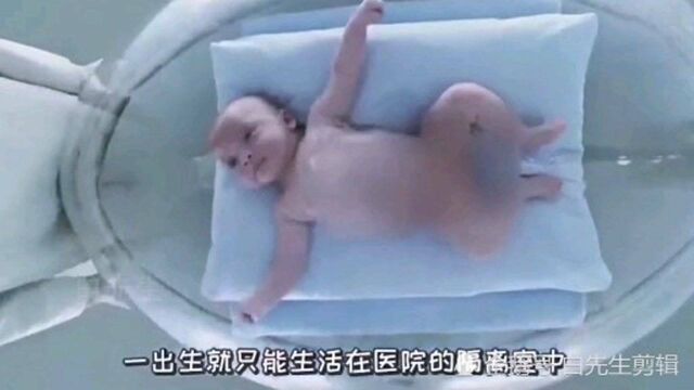 【白先生剪辑】想体验恋爱滋味,却一生生活中泡泡中