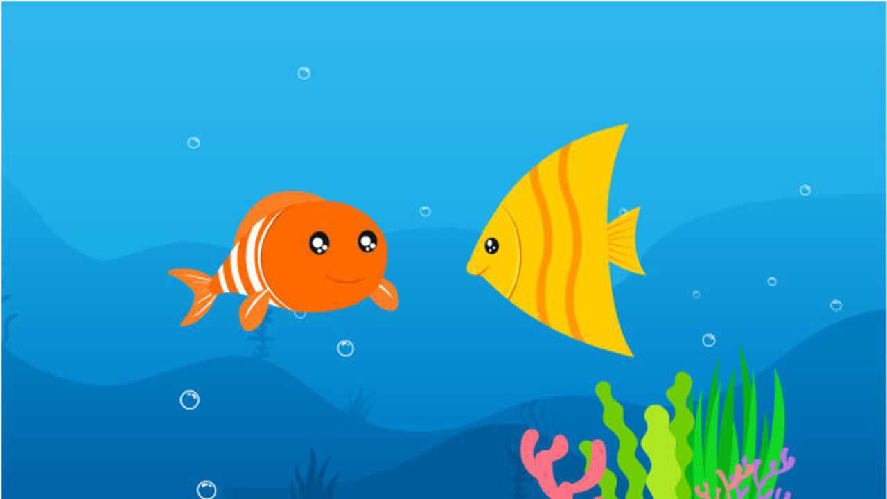 鱼有特殊的呼吸器官_高清1080p在线观看平台_腾讯视频