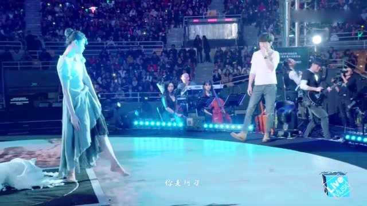 赵雷《阿刁》浮游2017赵雷北京演唱会_高清1080P在线观看平台_腾讯视频