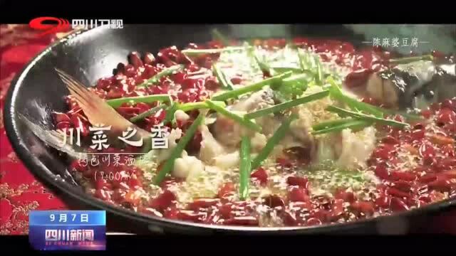 四川新闻|回访看变化①成都青羊区:立足“古今相融” 做强“文旅本底”