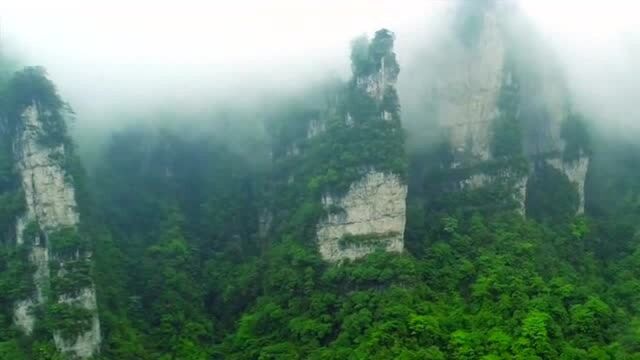 大山深处烟雾缭绕,这样的云海你见过吗