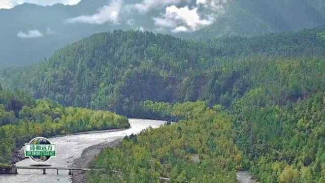 西藏波密,公认的川藏线上最美的地方,雪山环顾,海拨只有两千多