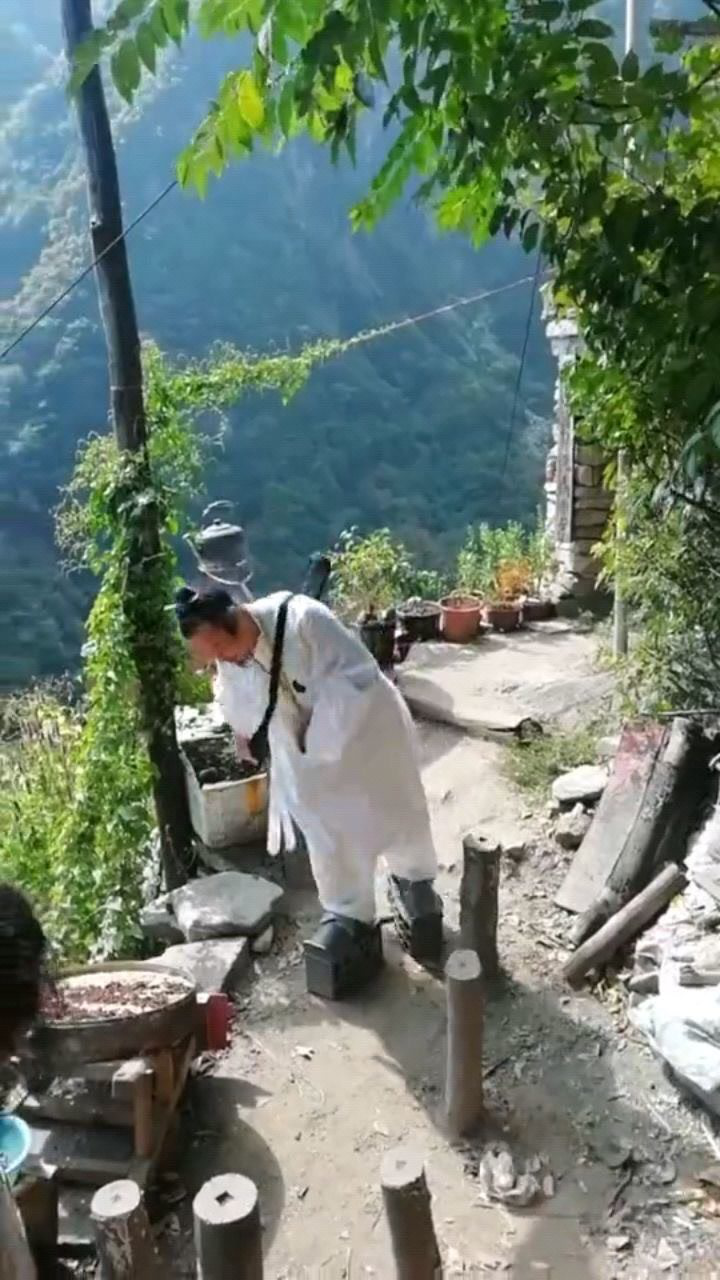 终南山神秘隐士10年未曾下山追求精神的修炼