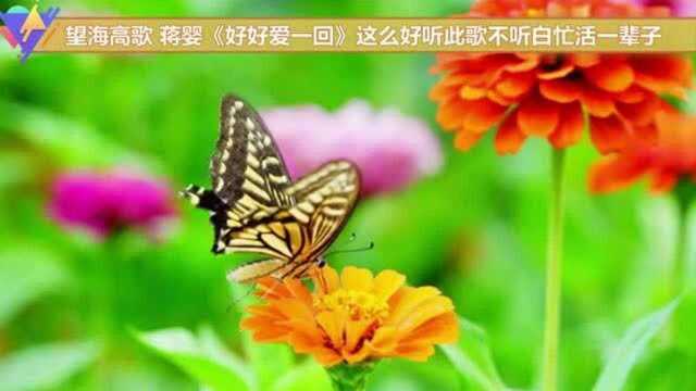 望海高歌,蒋婴《好好爱一回》这么好听此歌不听白忙活一辈子