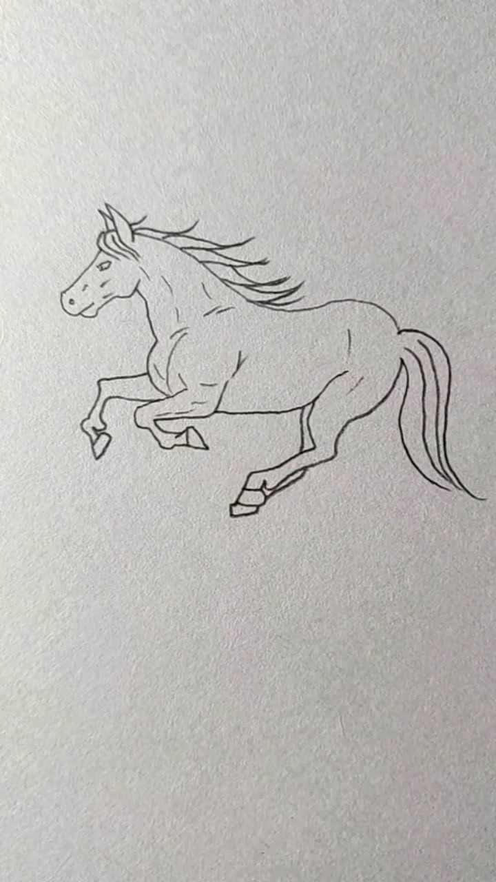 画一匹奔跑的骏马你学会了吗