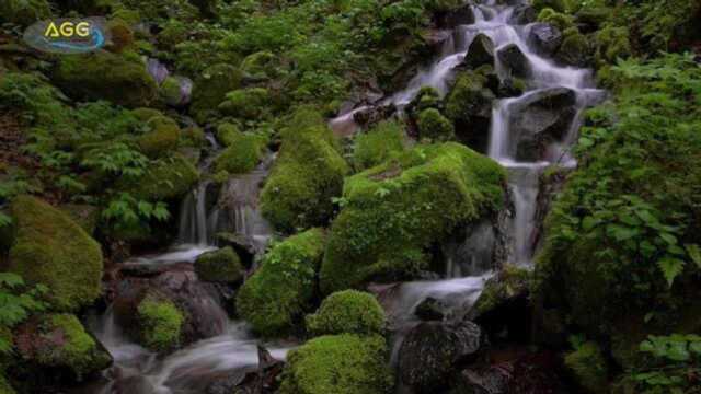 「4K风景」神秘の絶景——素帘の滝