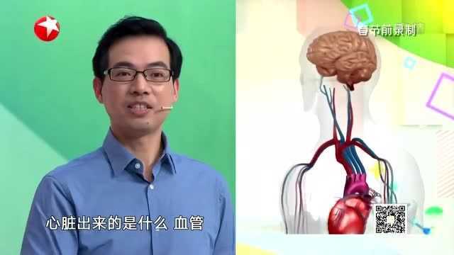 丹参不仅可以活血化瘀,还能延年益寿?听听专家怎么说