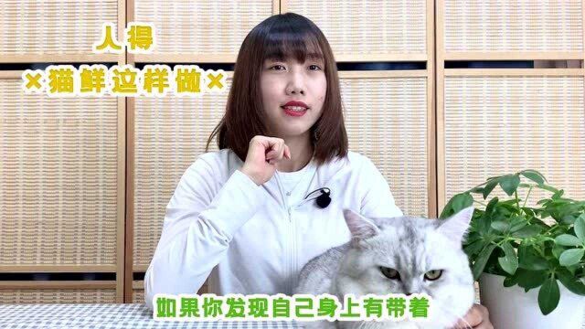 人得猫藓要怎么办?猫奴们可别太紧张,做好这几步就能搞定啦!