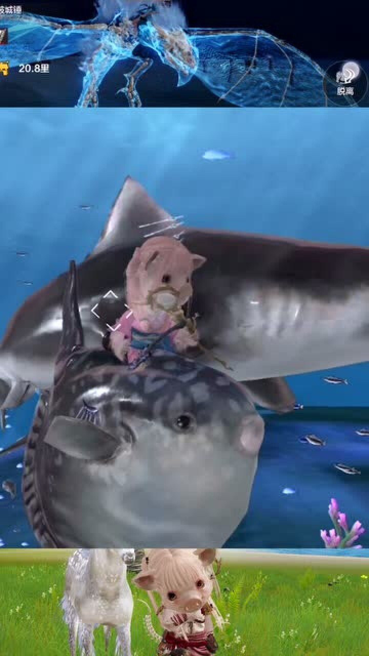 妄想山海大鲨鱼不过如此