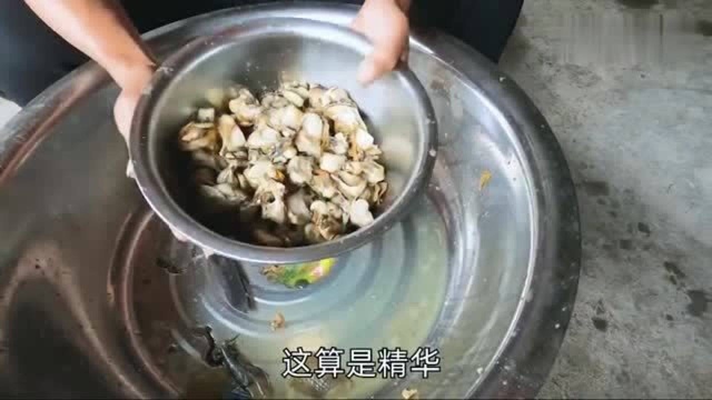 小伙赶海运气爆棚,捡了一大桶带子螺,回家做道美味海鲜大餐