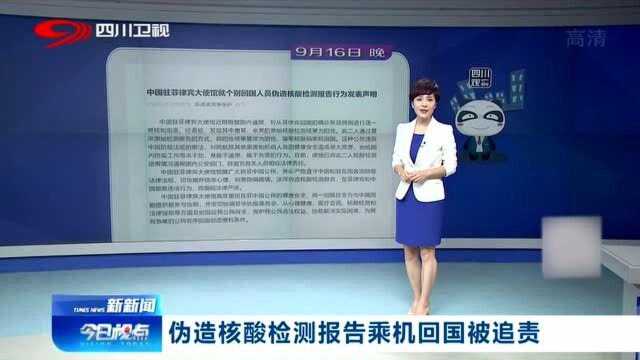 两人“篡改”核酸检测报告回国,中国驻菲使馆:已通报国内公安!