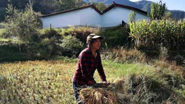 云南丽江的纳西族,都说是“女人的天下男人的天堂”,原来是真的