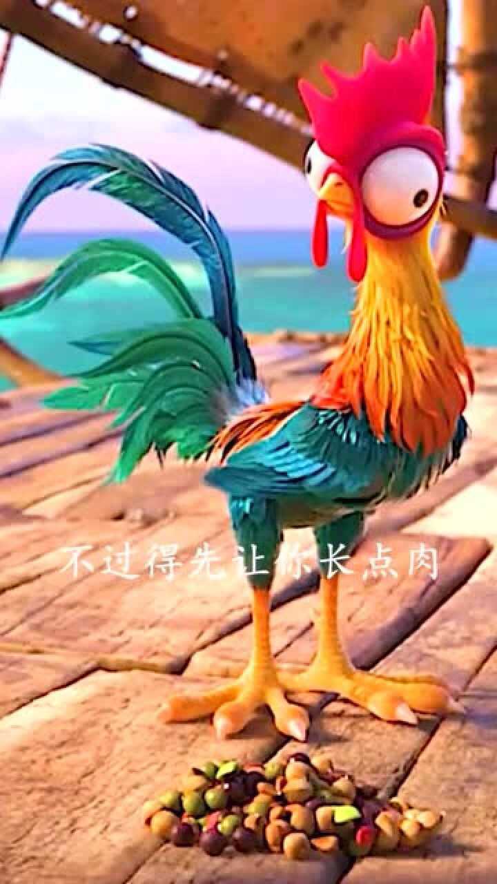爆笑动漫:"海洋奇缘"里的这只鸡也太二哈了,怀疑它是怎么活到大结局的