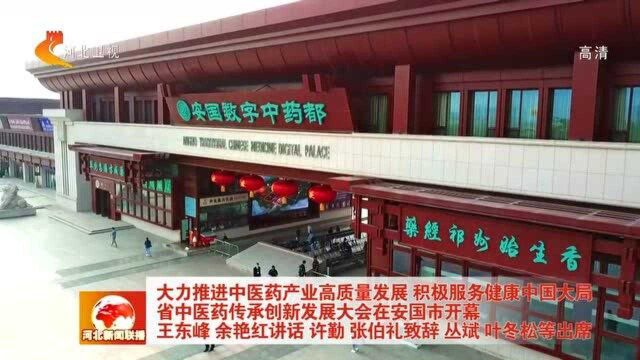 河北省中医药传承创新发展大会在安国市开幕