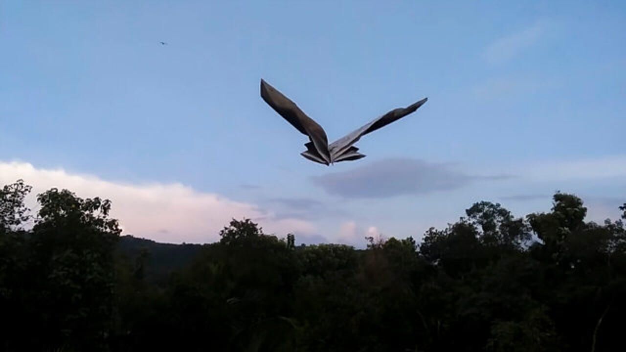 还原度最高的仿生纸飞机雄鹰纸飞机简直太像了