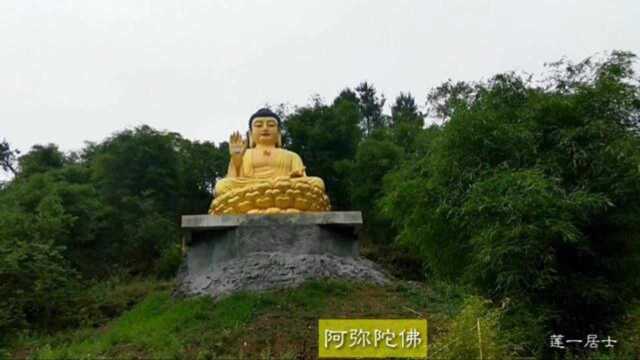 重庆万佛寺实景拍摄,庄严大佛端坐江边山顶,佛教圣地