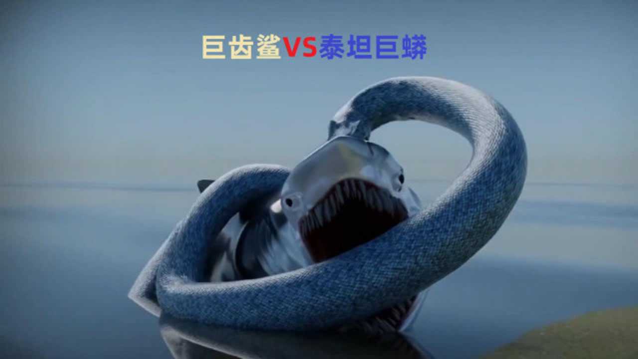 巨齿鲨vs泰坦巨蟒谁更强?这里告诉你