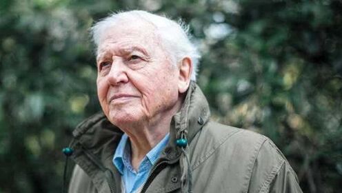 94岁大卫·爱登堡给地球的证词：没有什么能阻止人类，除了…