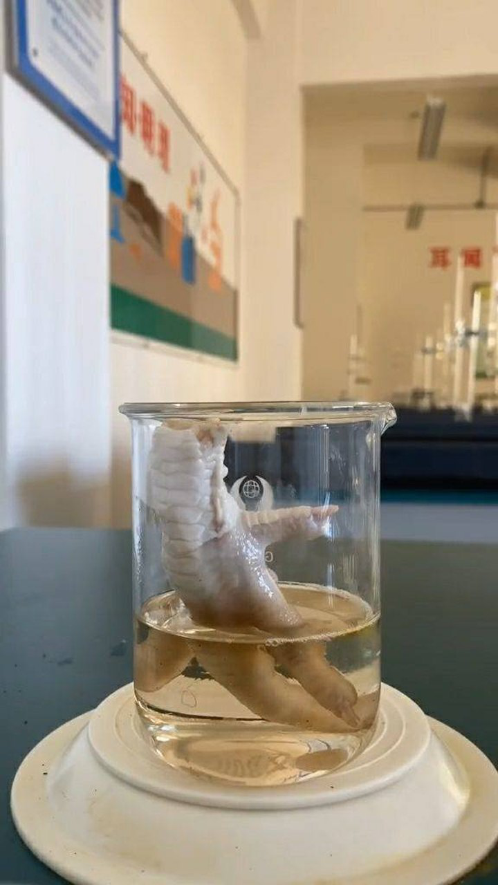 浓硫酸的强腐蚀性,使用一定要小心