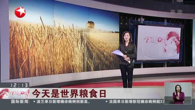 今天是世界粮食日:端牢中国饭碗 共筑全球粮安