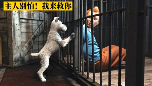 小伙被匪徒绑架，狗狗一路追踪，并进入牢笼救出主人