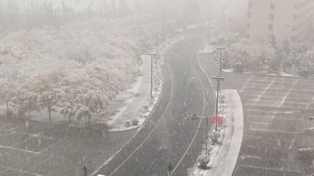 兰州下雪了!白雪覆盖现实宛如童话世界