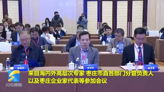 41秒|2020年中国ⷮŠ枣庄海内外高端人才交流会成功举办