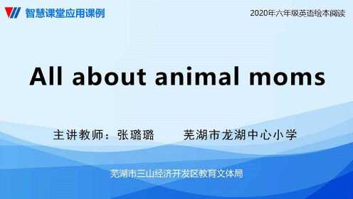 [图]All about animal moms——张璐璐