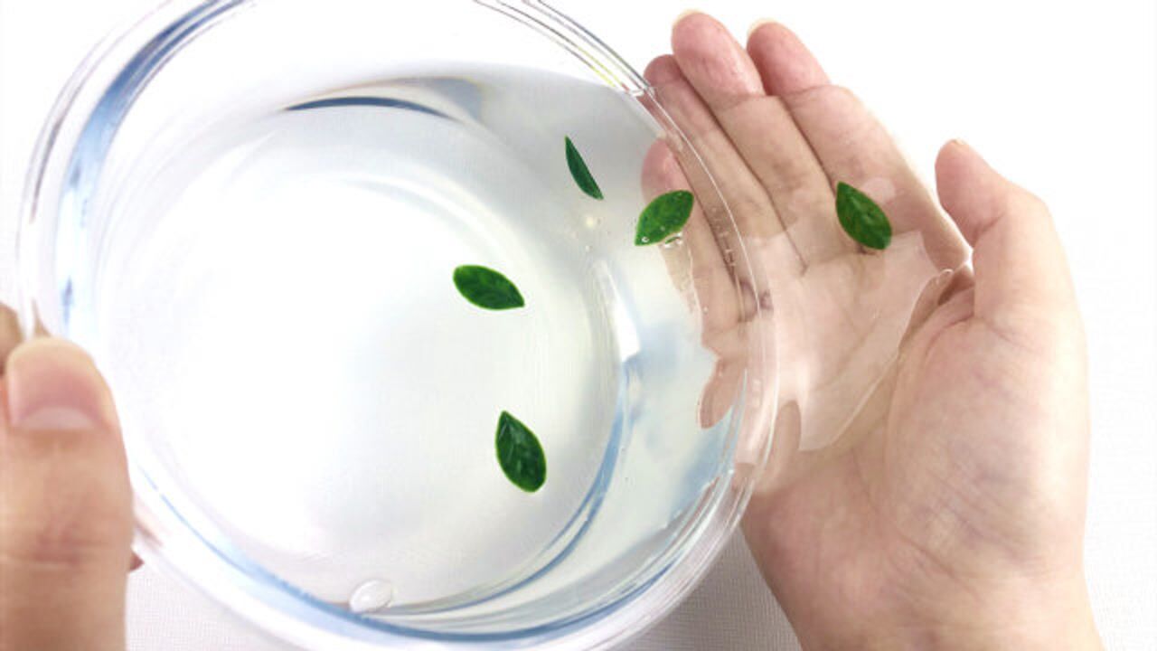 用假水胶自制透明假水,做法很简单,无硼砂
