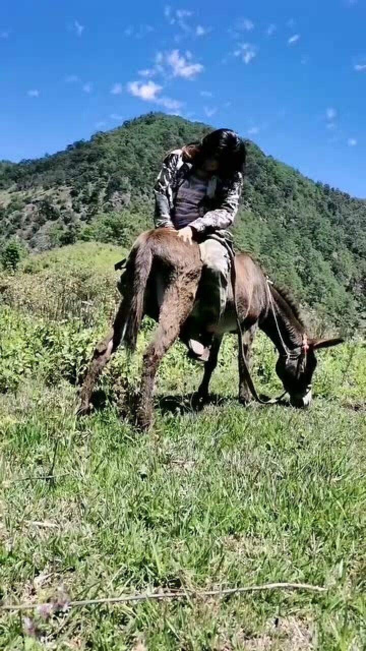 骑驴跳舞的美女,加油看好你,全村唯一的希望!