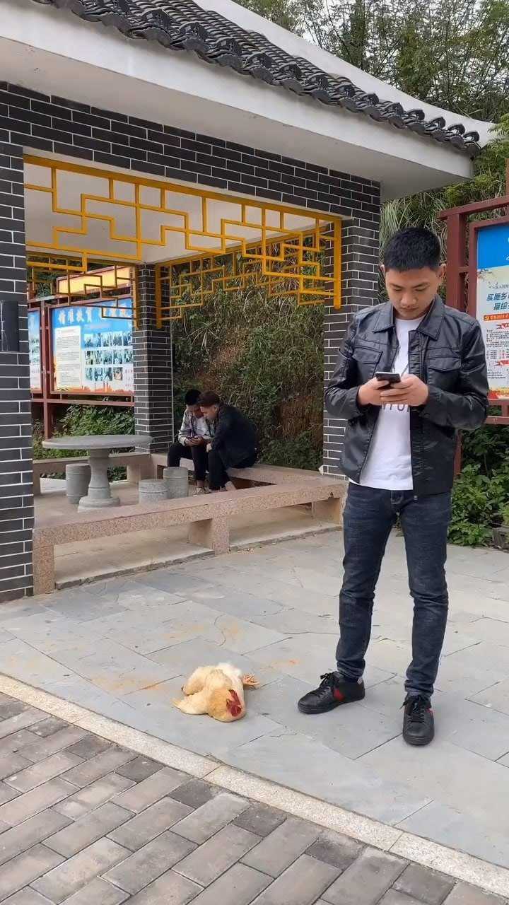 帅哥,你走这么快,鸡都不要啦