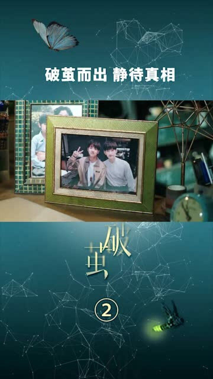 破茧开播破茧而出静待真相中