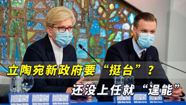 立陶宛新政府宣布“挺台”?还没上任就“逞能”,我大使馆表态