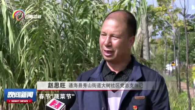 云岭电商:从“一片菜地”变成乡村旅游“网红村”