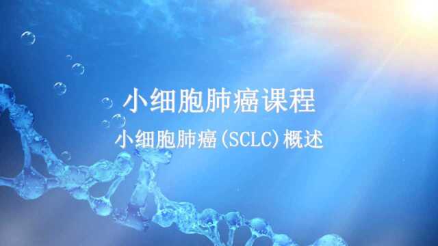 小细胞肺癌(SCLC)概述——上海市胸科医院艾星浩教授