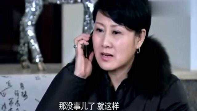 哎呀妈妈:女婿的公司出事,芯玉终于回家,动了房产证的主意!