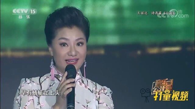 王丽达、汤鼎梁同台演唱《小池》,歌声悠扬动听