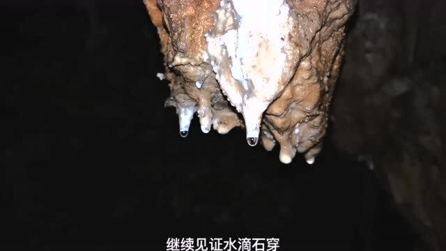 清远探秘一万年长一厘米的钟乳石生长过程,可惜被破坏了不少