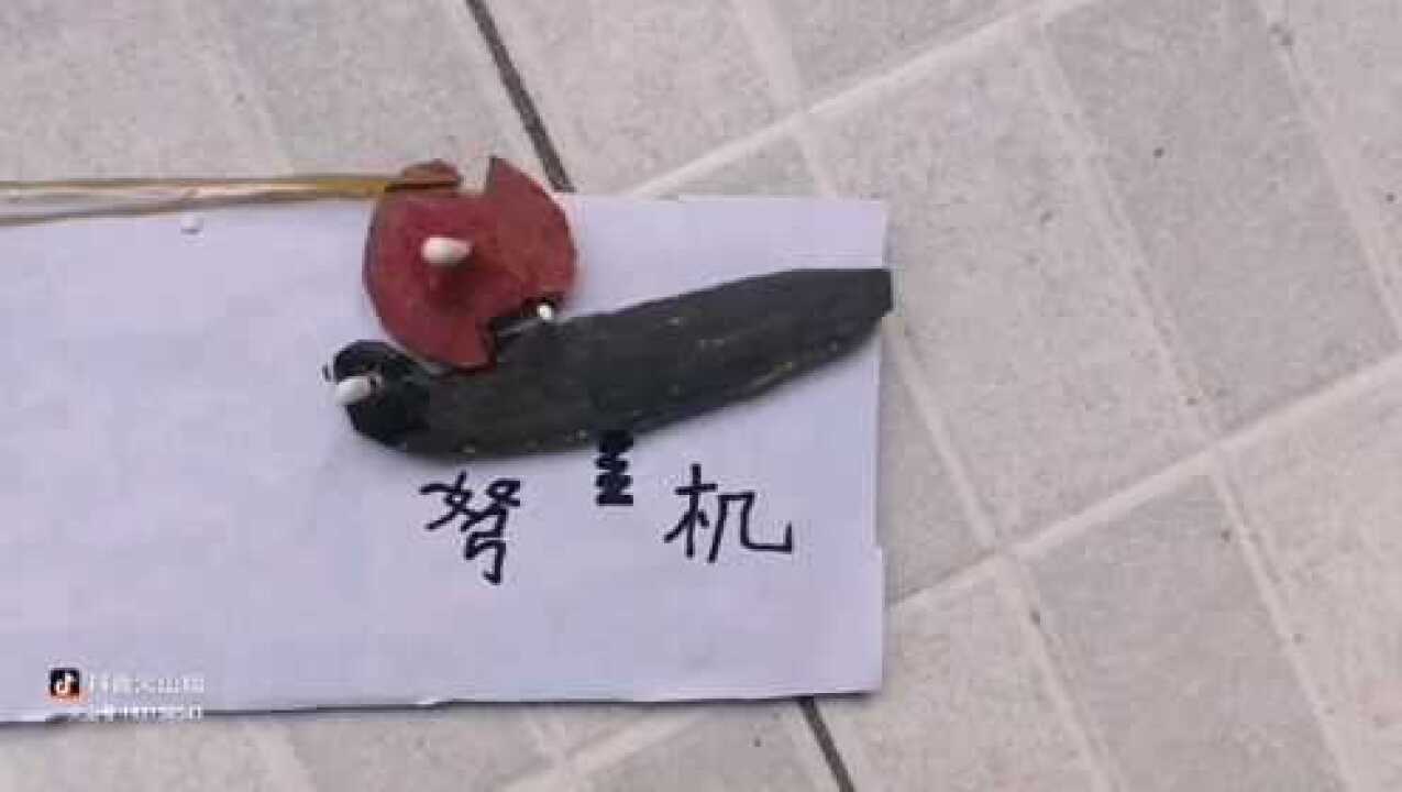 拇指按压式的弩机结构原理简单与秦弩机和欧洲十字弩等不同硬纸壳手工