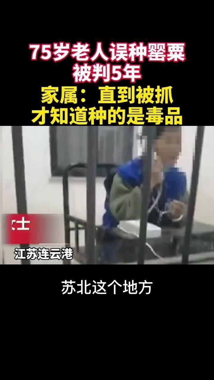 江苏连云港,一名75岁的老人误种罂粟被判5年