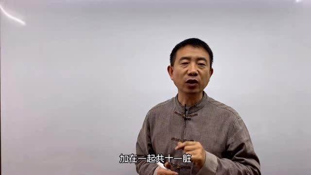 刘恒易经:四季与五脏对应关系